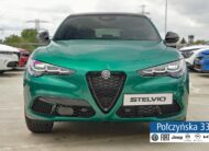 Alfa Romeo Stelvio Tributo Italiano 2.0 280 KM AT8 AWD|Montreal Green| pak. Techno| MY24