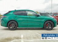 Alfa Romeo Stelvio Tributo Italiano 2.0 280 KM AT8 AWD|Montreal Green| pak. Techno| MY24