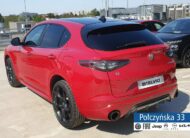 Alfa Romeo Stelvio Tributo Italiano Q4 AT 2.0 280 KM|Pakiet Techno|Czerwony Alfa Red