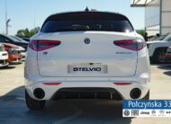 Alfa Romeo Stelvio Tributo Italiano Q4 AT 2.0 280 KM|Pakiet Techno|Biały Alfa White|MY24