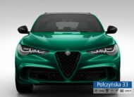 Alfa Romeo Stelvio Quadrifoglio  2.9 V6 520 KM AT8 Q4|Montreal Green| Techno|MY24