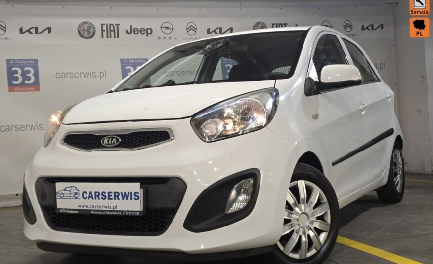 Kia Picanto Kia Picanto Salon Polska